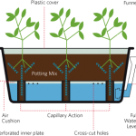 Funky gifts Growing smarter self watering system