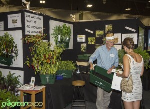gogreen expo for growing pumpkins article