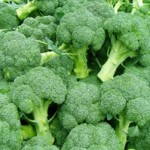 Growing Broccoli in GreenSmart Pots