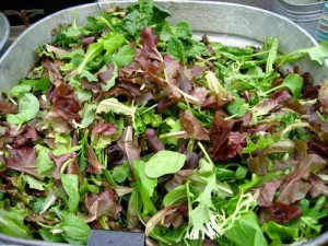 Growing Mesclun - Freshly picked Mesclun