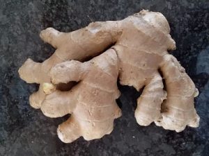 growing ginger